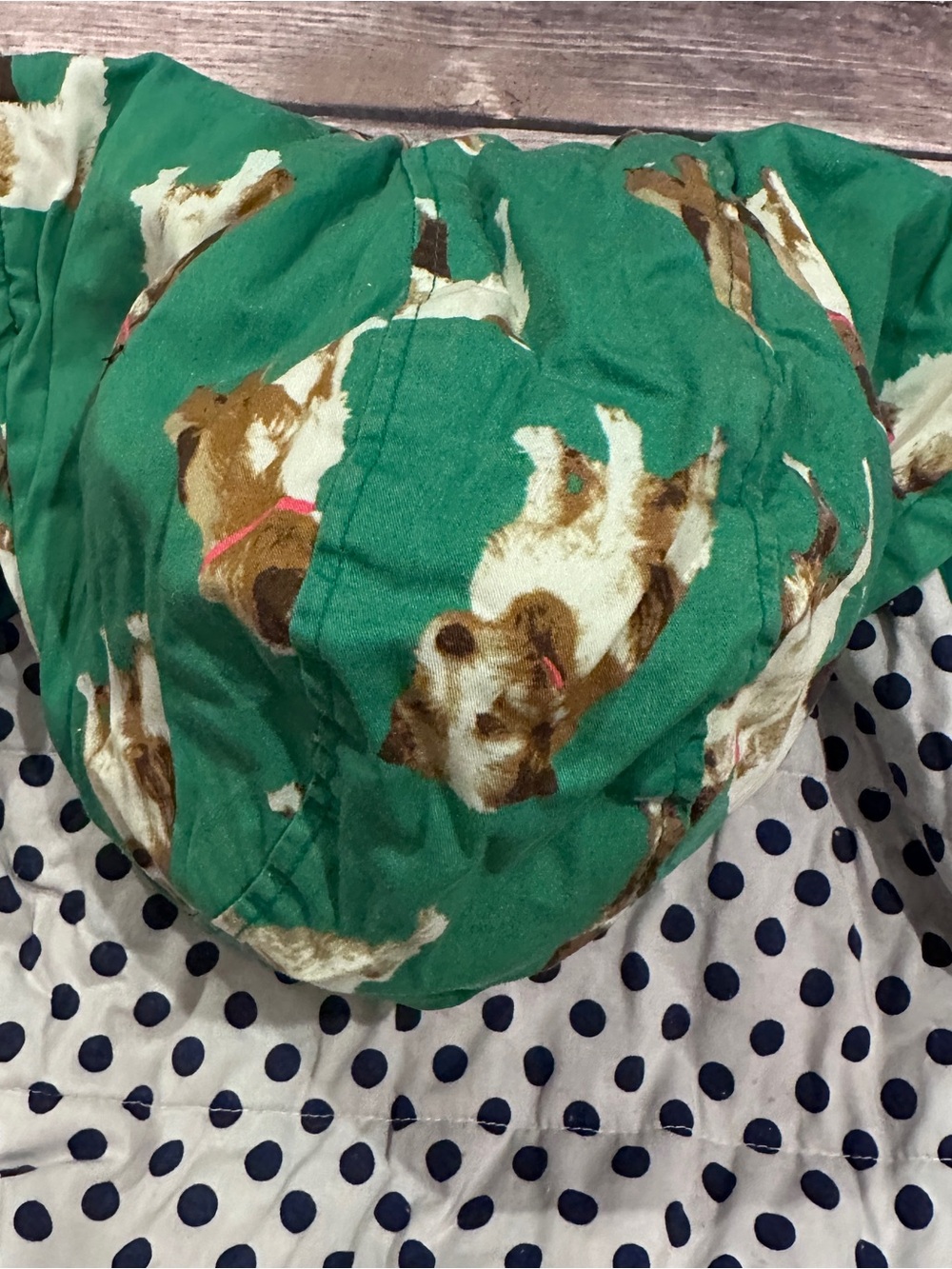 Mini Boden green dog coat - Picture 8 of 13